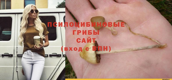 круглые Абаза