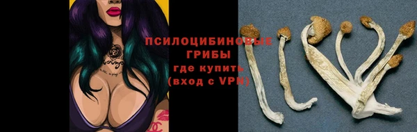 круглые Абаза