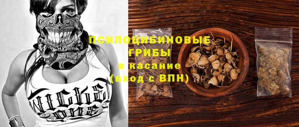 стафф Абинск