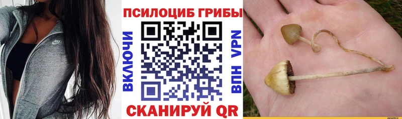 Псилоцибиновые грибы GOLDEN TEACHER купить наркотики цена Комсомольск-на-Амуре